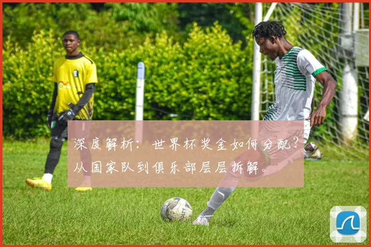 深度解析：世界杯奖金如何分配？从国家队到俱乐部层层拆解。
