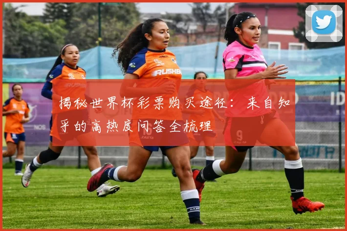 揭秘世界杯彩票购买途径：来自知乎的高热度问答全梳理