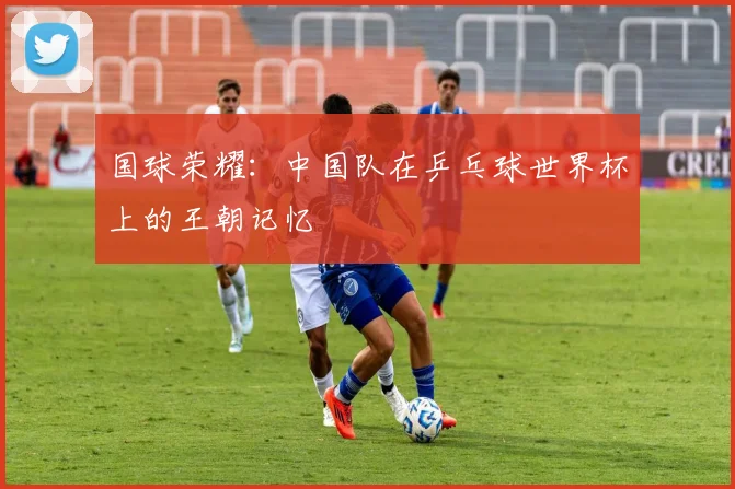 国球荣耀:中国队在乒乓球世界杯上的王朝记忆