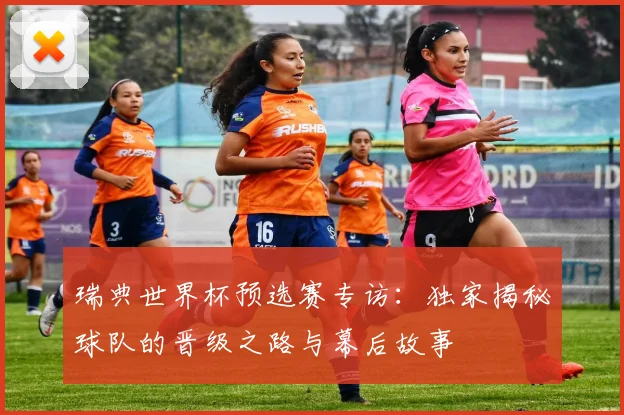 瑞典世界杯预选赛专访：独家揭秘球队的晋级之路与幕后故事