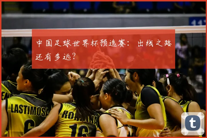 中国足球世界杯预选赛：出线之路还有多远？