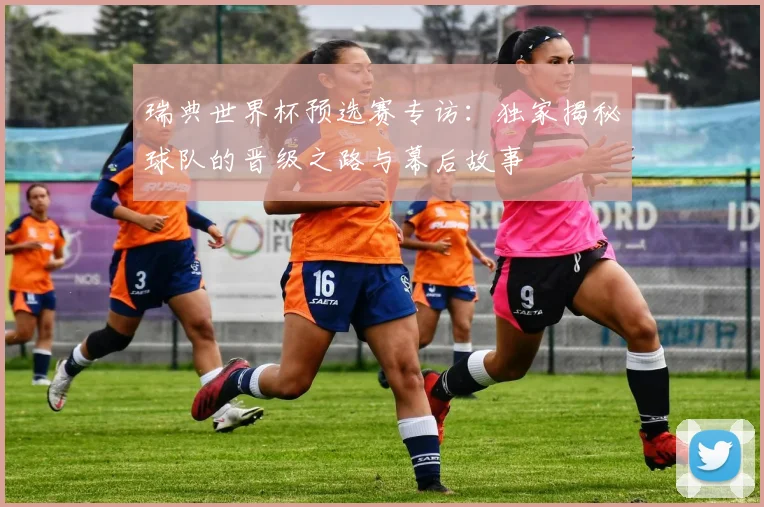 瑞典世界杯预选赛专访：独家揭秘球队的晋级之路与幕后故事
