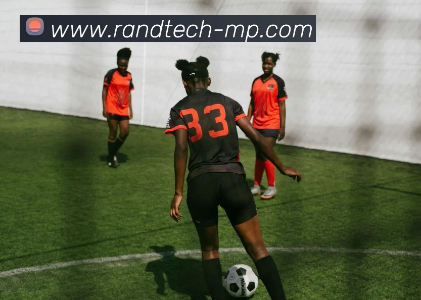 多媒体互动体验